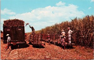 Loading Sugar Cane in Railroad Car Cul-de-Sac Plain Haiti Unused Postcard H25