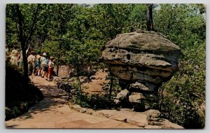 Mushroom Rock Atop Lookout Mtn Chattanooga TN Postcard W27