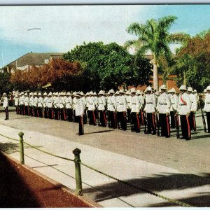 c1950s Nassau, Bahamas Police Parade White Uniforms Palm Trees Guard Army A342