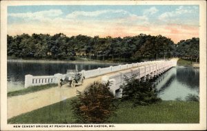 Easton Maryland MD Peach Blossom Cement Bridge Vintage Postcard