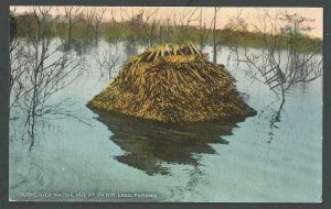 Ca 1909 PPC* Panama Submerged Native Hut At Gatun Lake Mint