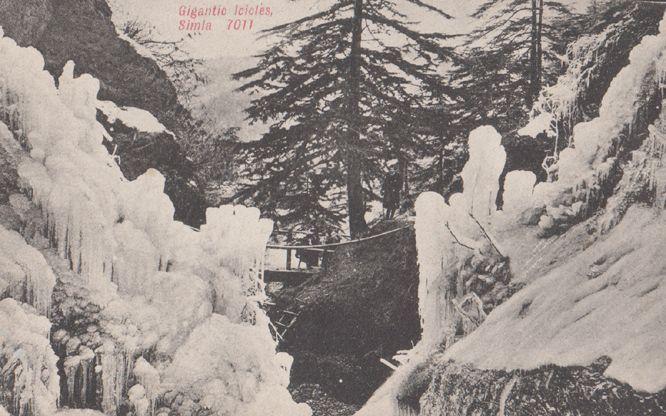 Gigantic Icicles In Simla Disaster Weather Antique Indian Postcard