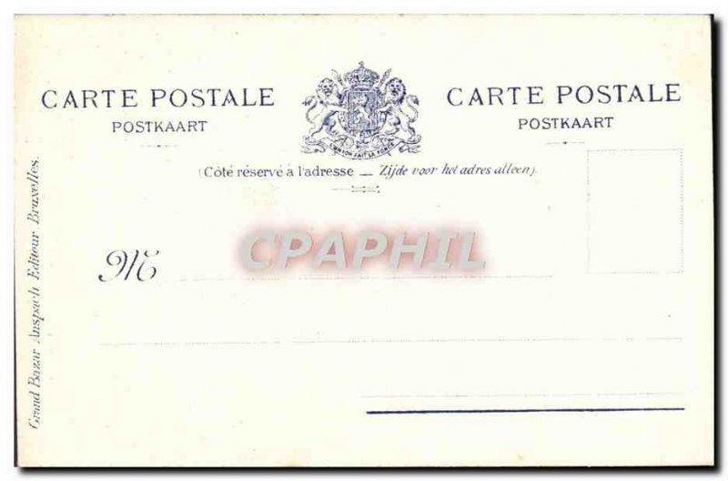 Brussels Old Postcard King's House