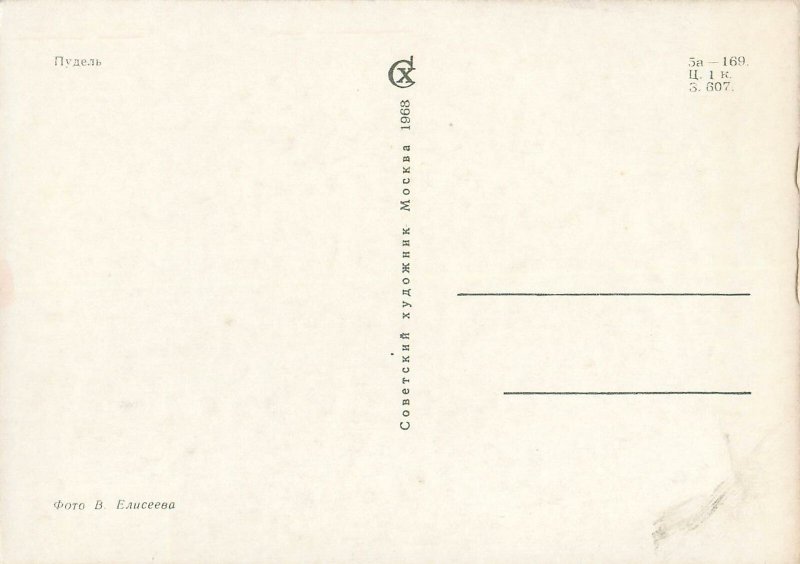 Animals antique USSR Poodle dog breed Post card