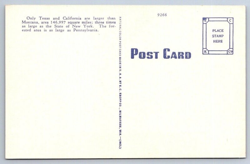 Montana State Capitol, Helena, Vintage E.C. Kropp Linen Postcard