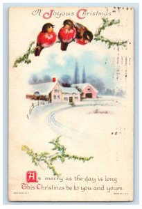 C1910 Wolf & Co Birds Snowy Scene Christmas Postcard P114E