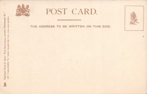 RICHMOND VIRGINIA~STATE CAPITOL-RAPHAEL TUCK PUBLISHED POSTCARD 1900s