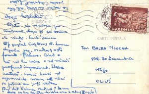 Romania Pestera Scarisoara Stalactite de gheata