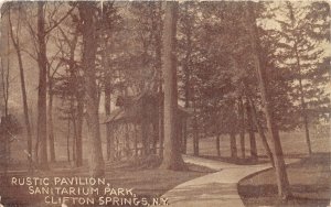 J65/ Clifton Springs New York Postcard c1910 Rustic Pavilion Sanitarium Park 216