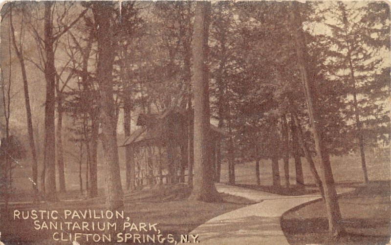 J65/ Clifton Springs New York Postcard c1910 Rustic Pavilion Sanitarium Park 216