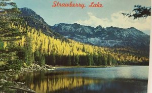 Strawberry Lake Eastern Oregon Postcard 1972