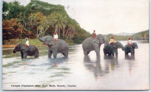 Postcard - Temple Elephants after their Bath - Kandy, Sri Lanka