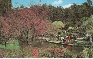 PC5998 DUKE GARDENS, DURHAM, NC