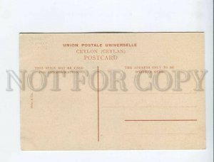 3172018 Tamils Ceylon Vintage Plate & Co postcard