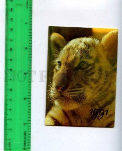 259989 USSR Tuger cub Pocket CALENDAR 1991 year