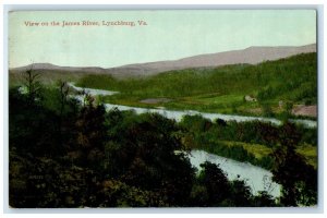 c1910's View On The James River Trees Lynchburg Virginia VA Unposted Postcard