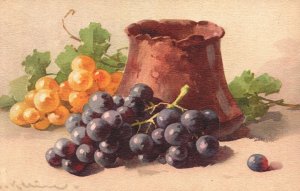 Vintage Postcard Grapefruit Berries Painting Work Of Art Fruits