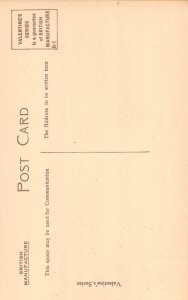 L245 England Cathedral Birmingham vintage postcard