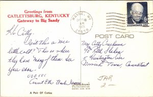 Greetings Catlettsburg Kentucky Girl Pony Scenic Chrome Cancel WOB Postcard 