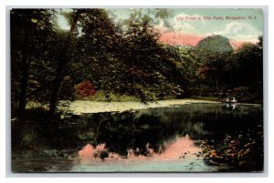 Lily Pond City Park Bridgeton New Jersey NJ DB Postcard T3