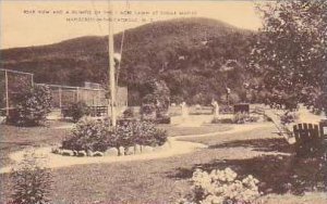 New York Mapelcrest In The Catskills Rear View of The 7 Acre Lawn at Sugar Ma...