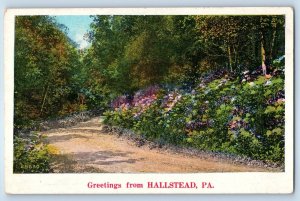 1920 Hallstead Pennsylvania Vintage Postcard Greetings General Landscape Locals