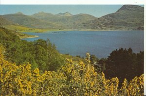 Scotland Postcard - Upper Loch Torridon - Ross & Cromarty - Ref 13274A