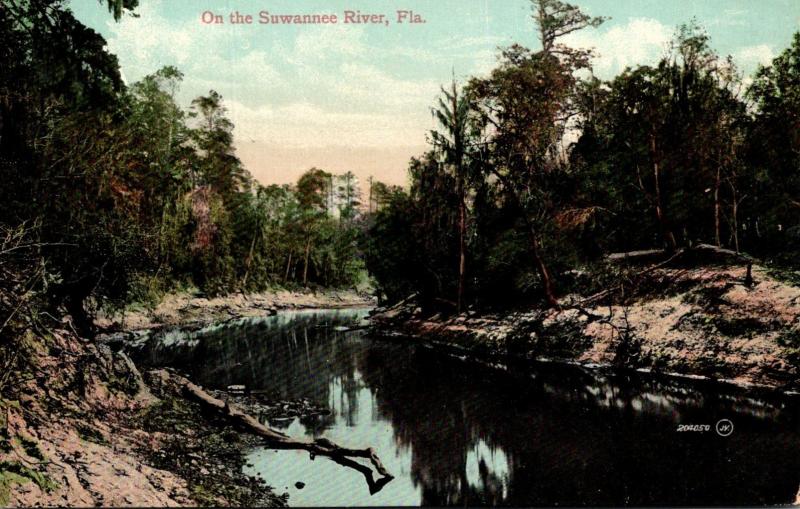 Florida Scene On The Suwannee River