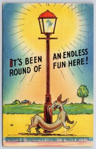 1945 It's Been An Endless Round Of Fun Here Dog Playing Light Posted Postcard
