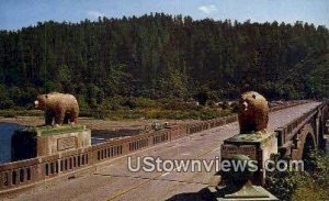 Bears, Klamath River Bridge - California CA  