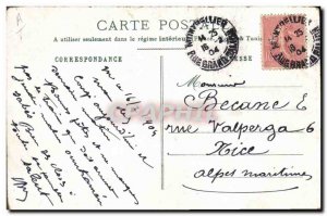 Old Postcard Cats Cat Dog Kitten