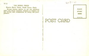 Knott's Berry Farm Ghost Town California Postcard