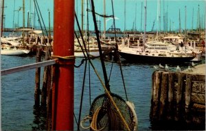 Rhode Island, Newport - Harbor Contrast - [RI-162]