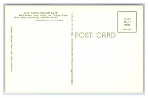 Scenic Oregon Coast Postcard