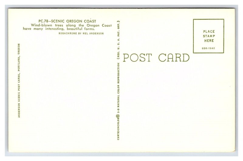 Scenic Oregon Coast Postcard
