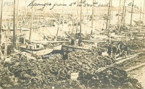 1923 Tarpon Springs Florida Sponge Fleet Boats Harbor Tampa RPPC Photo Postcard