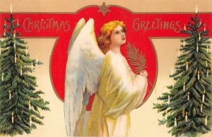 CHRISTMAS HOLIDAY ANGEL TREES EMBOSSED POSTCARD 1909 PD !!