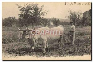 Old Postcard Hitch Lot et Garonne Farmer plowing