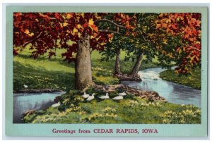 c1940's Greetings From Cedar Rapids Iowa IA Unposted River And Trees Postcard