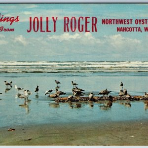 c1970s Nahcotta, Wash. Jolly Roger Oyster Farm Greetings Advertising PC WA A178
