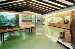 Postcard Interior Sugarlands Visitor Center Gatlinburg Tennessee