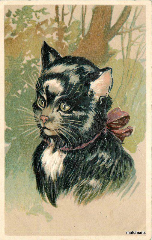 Artist impression Pretty Cat Ribbon around Neck C-1910 postcard 9236