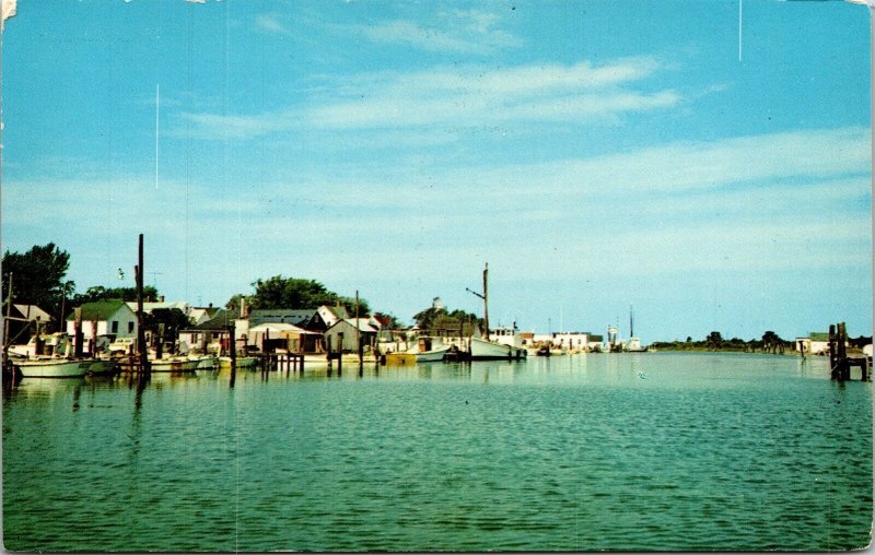 Harbor Ewell Smith Island Maryland MD Old Boats Postcard VTG UNP Plastichrome 