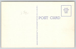 Carson City Nevada~Ormsby County Courthouse~Columns~Pediment~Linen 1940s PC