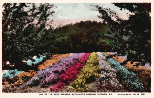 Vintage Postcard 1920's Buthchart's Gardens Victoria British Columbia Canada CAN