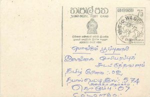 Entier Postal Stationery Postal Sri Lanka Ceylon Lion