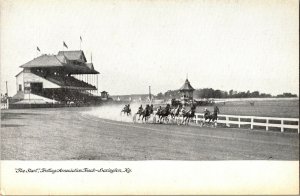 Trotting Association Track, Grandstand Lexington KY Vintage Postcard J53