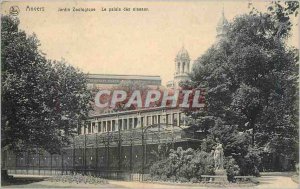 Old Postcard Antwerp Zoo Palace birds