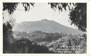 c.1950 Mt. Tamalpais Mill Valley, California RPPC 2T5-454