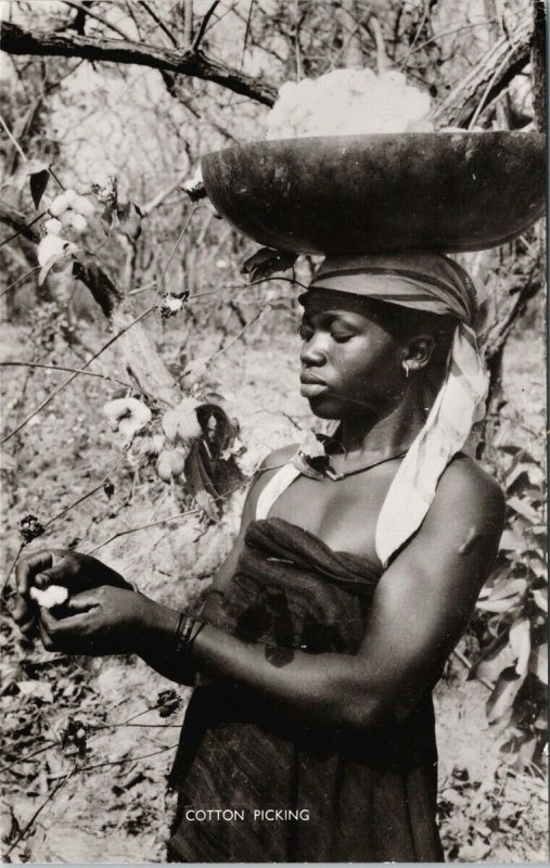 Woman Cotton Picking In Northern Nigeria Unused Jackie Philips RPPC Postcard F24